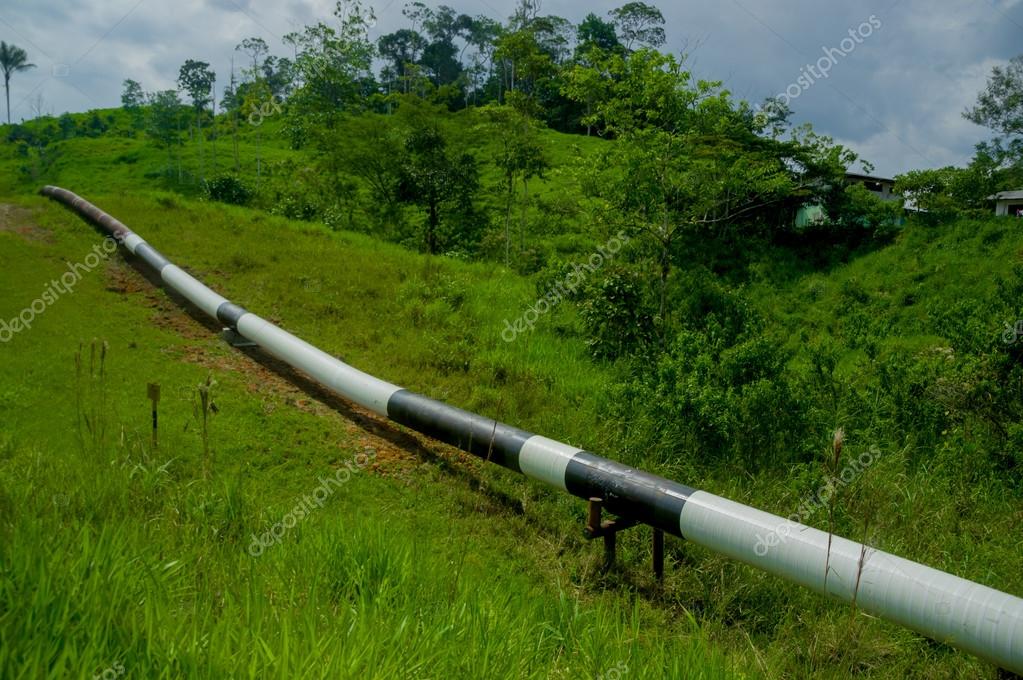Bozza automatica - Pipeline News -  -  270