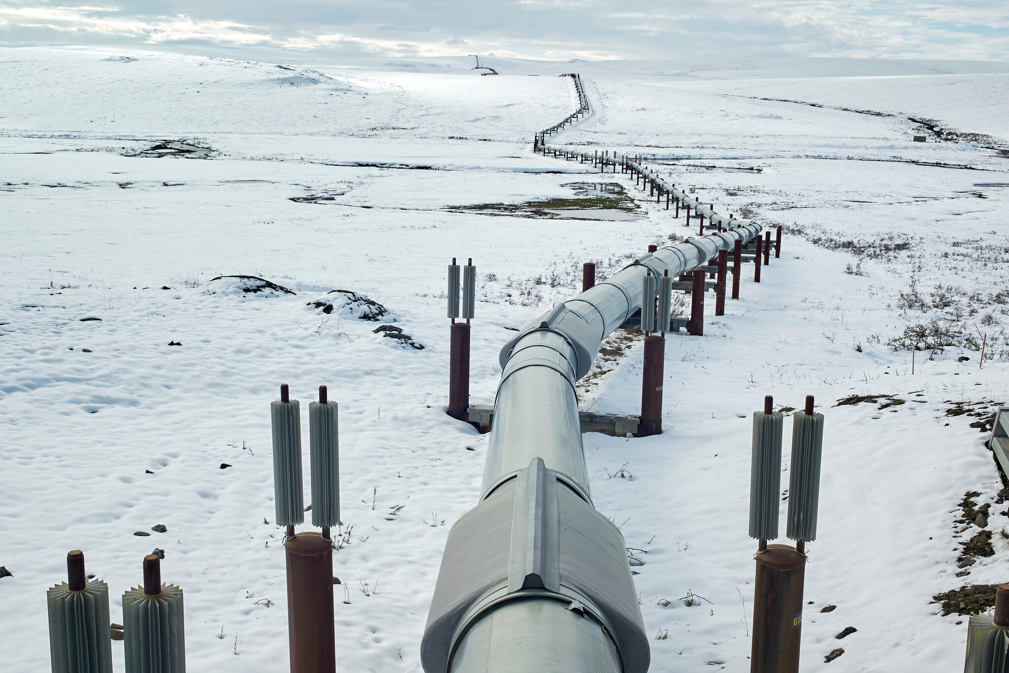 Il giacimento di Willow e la costruzione dell’oleodotto trovano l’opposizione degli ambientalisti - Pipeline News -  - NEWS